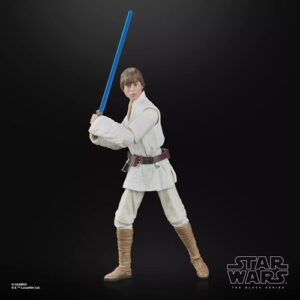 star wars the black series luke skywalker hasbro